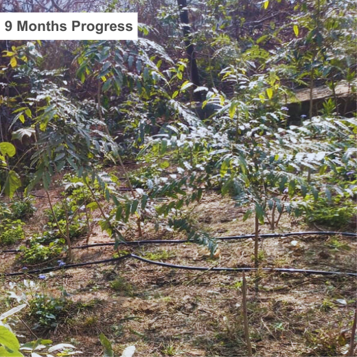 Nature’s Prescription: Miduty’s Earth Day ESG Commitment – 1 year