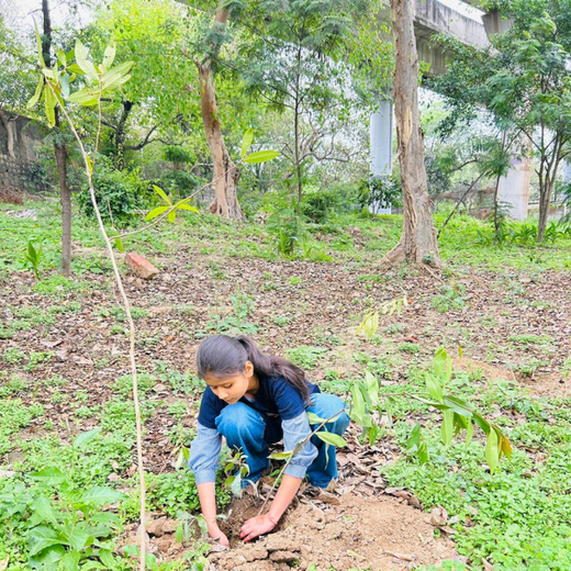 Poonam Bagai Living Tribute: Growing a Legacy That Lives On – Planting