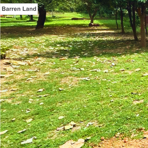 Poonam Bagai Living Tribute: Growing a Legacy That Lives On – Planting