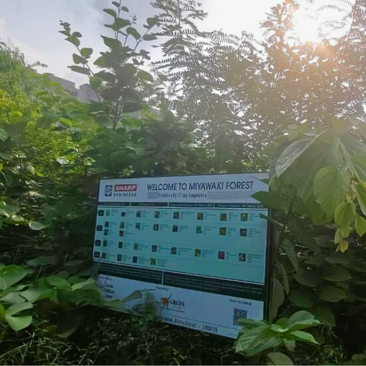 One Machine = One Tree Growing a Greener Tomorrow with Sharp Engineers – 1 year