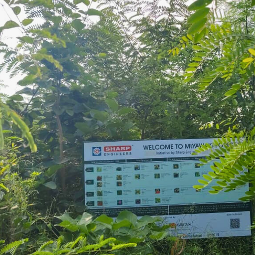 One Machine = One Tree Growing a Greener Tomorrow with Sharp Engineers – 1 year