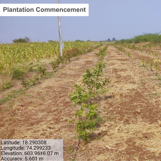 From Sports to Sustainability: SPSL Foundation's Tree Plantation Initiative – Planting