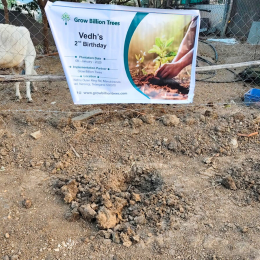 Celebrating Vedh’s 2nd Year by Giving Back to Nature – Planting