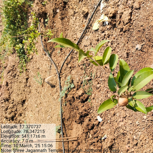 Celebrating Vedh’s 2nd Year by Giving Back to Nature – 1 year