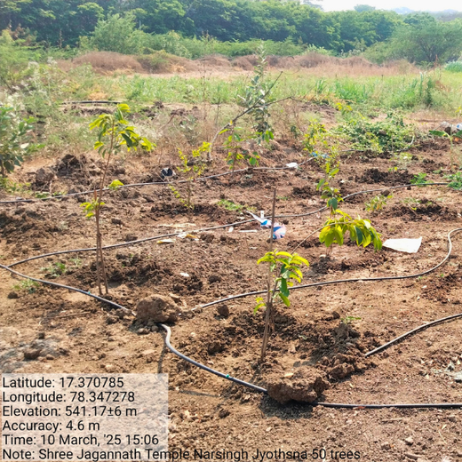 Celebrating Vedh’s 2nd Year by Giving Back to Nature – 1 year