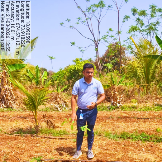 Viva Composite Panel’s Green Initiative: Building a Sustainable Future – 6 months