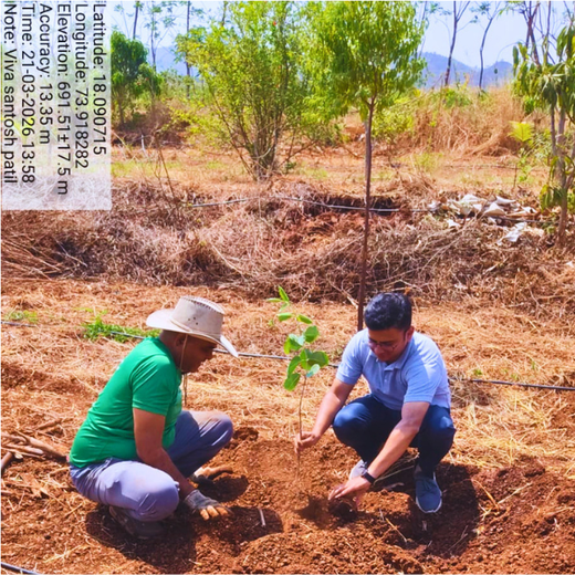 Viva Composite Panel’s Green Initiative: Building a Sustainable Future – 6 months