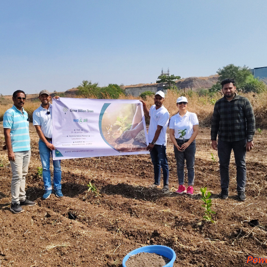 Harvesting Hope: We4All's Tree Plantation in Agroforests – Planting