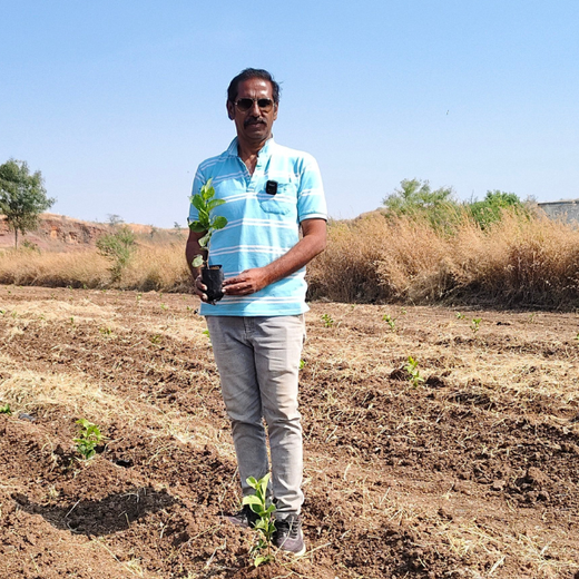 Harvesting Hope: We4All's Tree Plantation in Agroforests – Planting