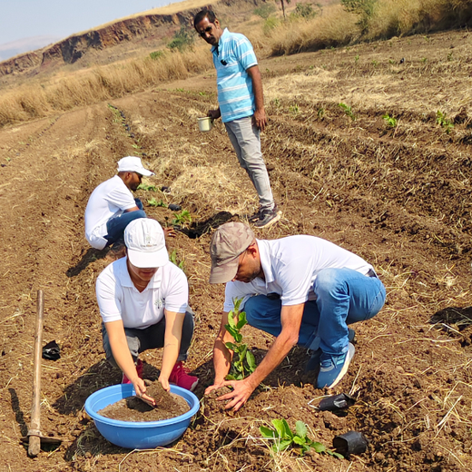 Harvesting Hope: We4All's Tree Plantation in Agroforests – Planting