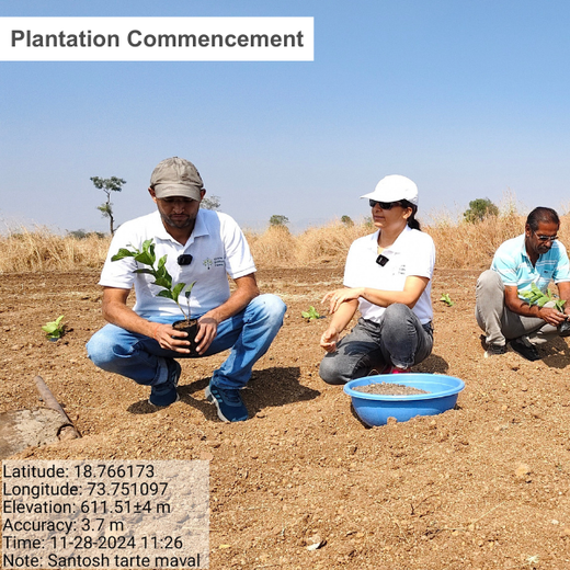 Harvesting Hope: We4All's Tree Plantation in Agroforests – Planting