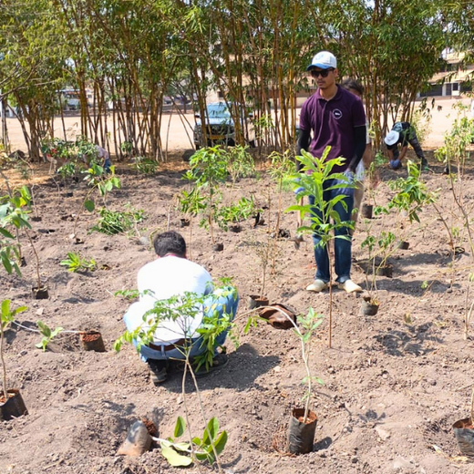 Green Intelligence: Xebia’s Smart Step Toward Sustainability – 6 months