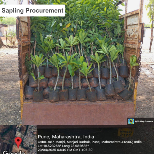 Green Intelligence: Xebia’s Smart Step Toward Sustainability – Planting