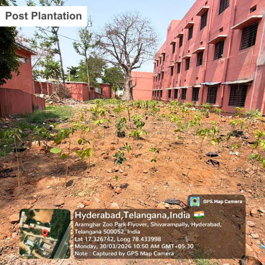 Xebia Advancing Urban Sustainability Through Tree Plantation – 6 months