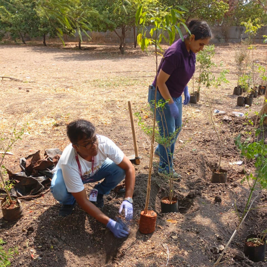 Green Intelligence: Xebia’s Smart Step Toward Sustainability – 6 months
