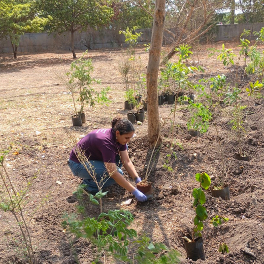 Green Intelligence: Xebia’s Smart Step Toward Sustainability – 6 months