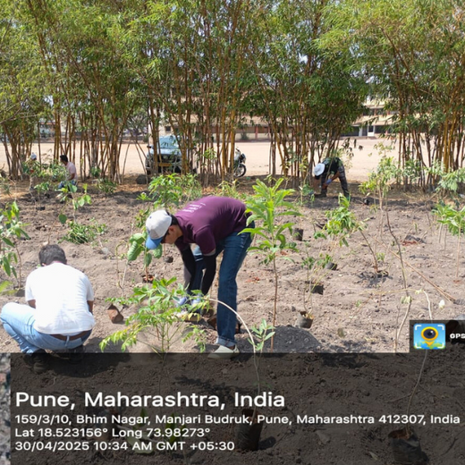Green Intelligence: Xebia’s Smart Step Toward Sustainability – 6 months