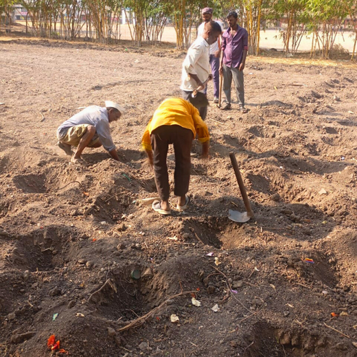 Green Intelligence: Xebia’s Smart Step Toward Sustainability – Planting