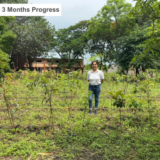 Green Intelligence: Xebia’s Smart Step Toward Sustainability – 1 year