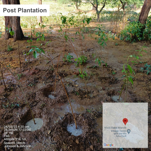 Honoring Surgeons, Cultivating Sustainability: Johnson & Johnson’s Tree Plantation Initiative in Haryana – 1 year