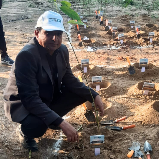 Honoring Surgeons, Cultivating Sustainability: Johnson & Johnson’s Tree Plantation Initiative in Haryana – 6 months