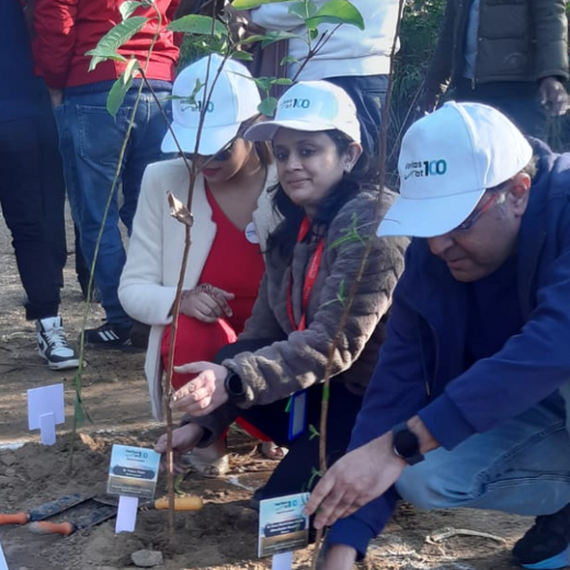 Honoring Surgeons, Cultivating Sustainability: Johnson & Johnson’s Tree Plantation Initiative in Haryana – 6 months