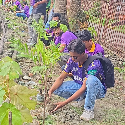 KKR Runs to Roots: Turning Every Run into a Tree – 6 months