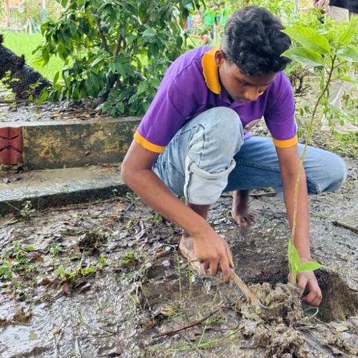KKR Runs to Roots: Turning Every Run into a Tree – 6 months