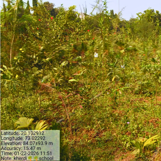 Silox India Miyawaki Tree Plantation School Initiative: Growing Green Futures – 2 years