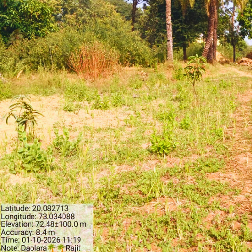 Silox India Agroforestry Initiative: Cultivating Sustainability and Biodiversity – 2 years