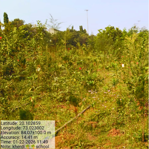 Silox India Miyawaki Tree Plantation School Initiative: Growing Green Futures – 2 years