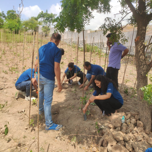 Western Union Services India Pvt. Ltd.: CSR for a Greener Future – 1 year