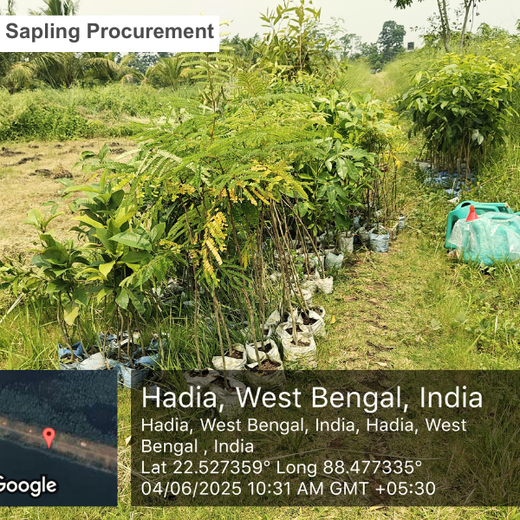 Alliance Clubs Dist. 101: World Environment Day Initiative – Planting