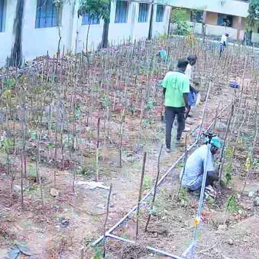 Caterpillar's Legacy: A Learning forest in Chennai Anna Salai – 6 months