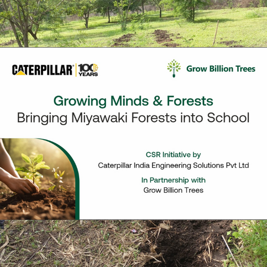 Caterpillar's Legacy: A Learning forest in Chennai Nanganallur – 6 months