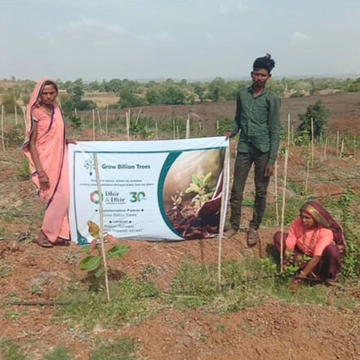 Law Meets Land: Dhir & Dhir Associates Advocates for Community Forests – Planting