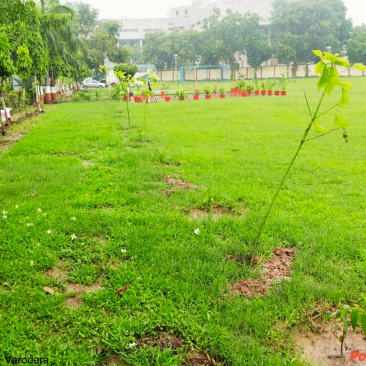 Leadership in Leaf: FICCI FLO Vadodara’s Sustainability Drive – 1 year