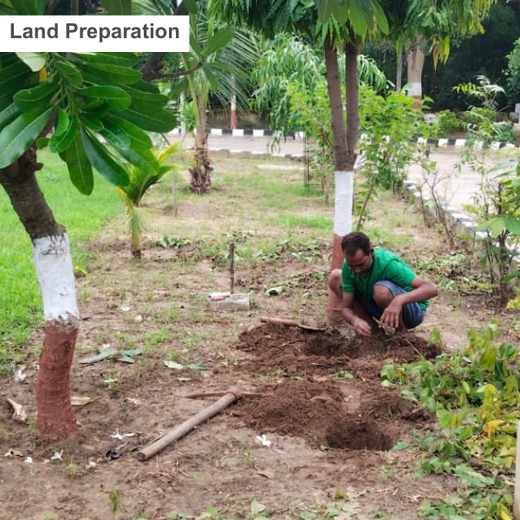 Leadership in Leaf: FICCI FLO Vadodara’s Sustainability Drive – Planting