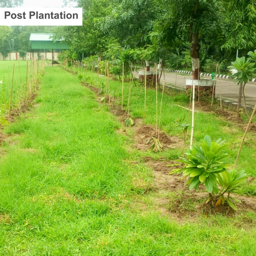 Leadership in Leaf: FICCI FLO Vadodara’s Sustainability Drive – 1 year