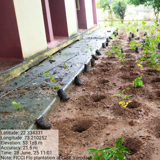 Leadership in Leaf: FICCI FLO Vadodara’s Sustainability Drive – Planting