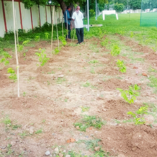 Leadership in Leaf: FICCI FLO Vadodara’s Sustainability Drive – 1 year
