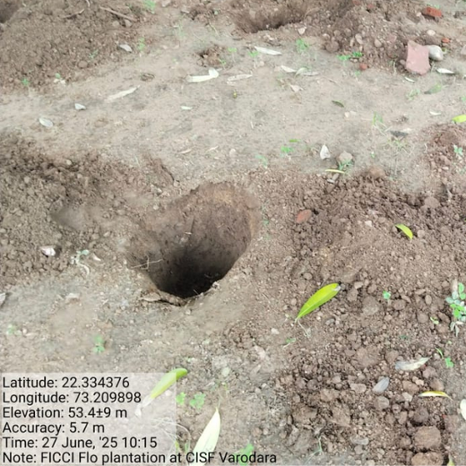 Leadership in Leaf: FICCI FLO Vadodara’s Sustainability Drive – Planting