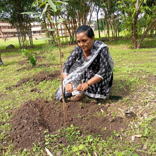 SaaS Meets Sustainability: Irth Solutions’ CSR Through Urban Forests – 6 months
