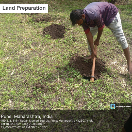 SaaS Meets Sustainability: Irth Solutions’ CSR Through Urban Forests – Planting