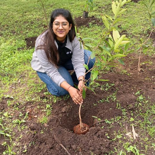 SaaS Meets Sustainability: Irth Solutions’ CSR Through Urban Forests – 6 months