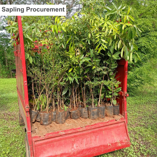 SaaS Meets Sustainability: Irth Solutions’ CSR Through Urban Forests – Planting