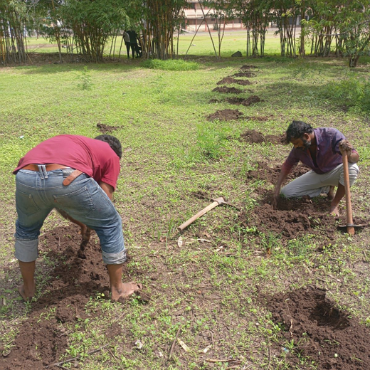 SaaS Meets Sustainability: Irth Solutions’ CSR Through Urban Forests – Planting