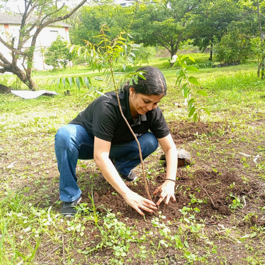 SaaS Meets Sustainability: Irth Solutions’ CSR Through Urban Forests – 6 months