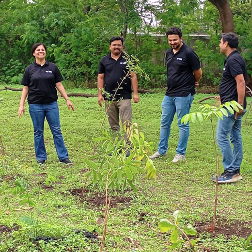 SaaS Meets Sustainability: Irth Solutions’ CSR Through Urban Forests – 6 months
