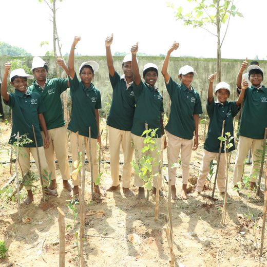 Caterpillar's Legacy: A Thriving Learning forest in Kilambakkam – 6 months
